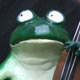 Bullfrog Bassist