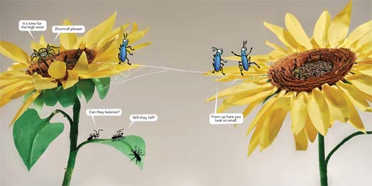 Bugs! Birds! Blooms!