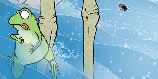 One Famished Frog & Ten Faraway Flies